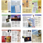 Vertices revista